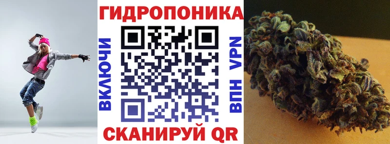 Бошки Шишки Amnesia  Семилуки 